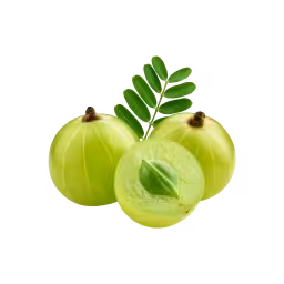 Fresh seasonal produce from GoForFresh