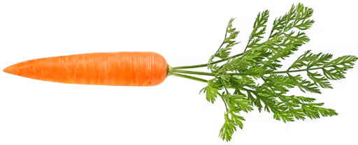 Fresh carrot, cut to order by GoForFresh